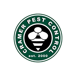 Pest Control Essex