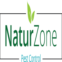 Pest Control Chelmsford
