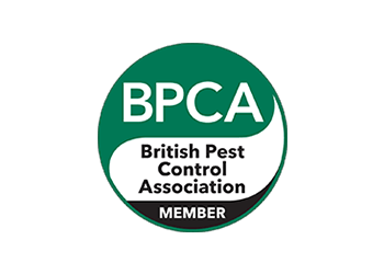pest control essex